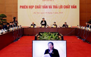 Từ câu chuyện giải cứu củ cải, 3 Bộ bàn giải pháp cho nông sản Việt