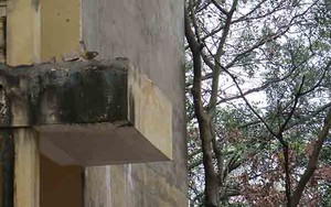 Đổ lan can trường Tiểu học khiến 13 học sinh nhập viện