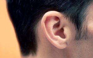 Cấp cứu một thanh niên bị cắn đứt tai khi đang nhậu với bạn