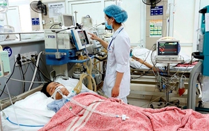 Ngộ độc thuốc diệt cỏ gia tăng đột biến dịp Tết