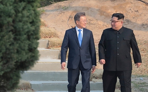 Chùm ảnh: Lãnh đạo hai miền Triều Tiên tham gia trồng cây lưu niệm