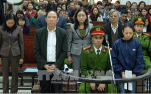 Ngày 14/5, nguyên Phó Giám đốc Sở NN&PTNT Hà Nội ra hầu Tòa về tội Tham ô tài sản