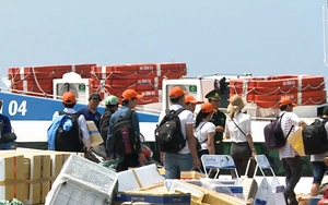 2000 du khách mắc kẹt tại huyện đảo Lý Sơn do thời tiết xấu