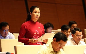 Luật đặc khu: Khả năng giảm thời hạn thuê đất từ 99 năm xuống 70 năm