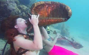 VIDEO: Độc đáo lễ hội âm nhạc dưới nước