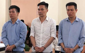 Phạt tù nguyên cán bộ hải quan 'rút ruột' ngà voi, sừng tê giác từ kho tang vật