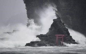 Đêm 29/7, bão Jongdari có khả năng đổ bộ vào các tỉnh phía tây Nhật Bản