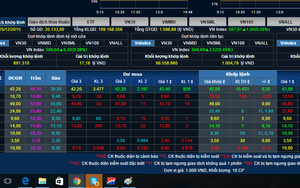 Phạt tù con rể lừa mẹ vợ chiếm đoạt tiền chơi chứng khoán