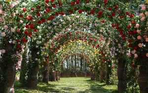 Cần xử lý dứt điểm việc xây dựng khu sinh thái vi phạm quy hoạch Khu di tích lịch sử đặc biệt Đền Hùng, Phú Thọ