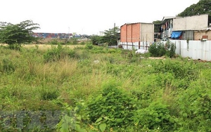 Khởi tố, bắt tạm giam lãnh đạo công ty thuộc Quân chủng Hải quân