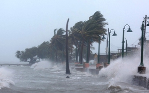 Năm 2019: Bão có xu hướng hoạt động muộn; nguy cơ hạn hán, xâm nhập mặn