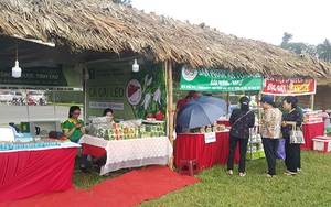 Chấn chỉnh hoạt động thương mại dưới danh nghĩa văn hóa tại Hoàng thành Thăng Long, Hà Nội