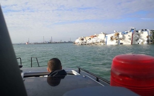 Lật tàu chở hơn 14.000 con cừu tại Romania