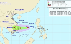 Sáng 10/11, bão số 12 đổ bộ Bình Định đến Ninh Thuận gây mưa to và gió lớn