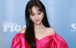 Bê bối thuê mang thai hộ, Trịnh Sảng bị Quảng Điện ra lệnh ‘đóng băng’ mọi hoạt động