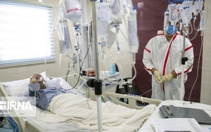 Liên hợp quốc kêu gọi thúc đẩy sự phục hồi bền vững sau đại dịch Covid-19