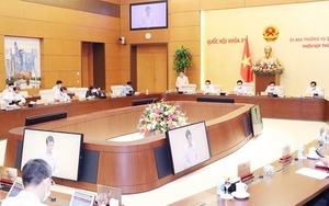 Sửa đổi luật để hoàn thiện môi trường pháp lý cho điện ảnh Việt phát triển