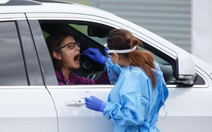 Đến nay, thế giới có tổng cộng gần 491.173.300 ca mắc Covid-19 và 6.175.200 ca tử vong