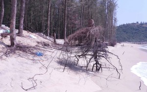 Công an tỉnh Bình Định đang điều tra làm rõ vụ vứt xác xuống biển phi tang