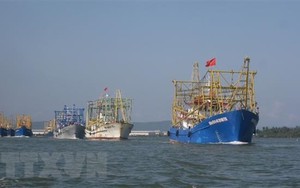 Việt Nam yêu cầu Trung Quốc tôn trọng chủ quyền của Việt Nam đối với quần đảo Hoàng Sa