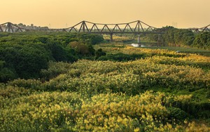 Chiêm ngưỡng vẻ đẹp những không gian xanh vô giá của Hà Nội