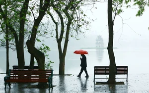 Phố xanh mùa nhớ!