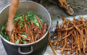 Nghệ sĩ Nga bất ngờ lĩnh án 11 năm tù sau khi đi du lịch từ Peru về