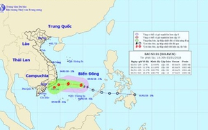 CẬP NHẬT: Bão số 1 giật cấp 10, tiến sát bờ biển Phú Yên - Bình Thuận