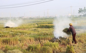 Thư gửi robot Citizen: Đừng để 'Khói lên thấu đến thiên tào'…