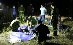 Phó Thủ tướng Trương Hòa Bình chỉ đạo làm rõ vụ cố ý gây thương tích dẫn đến chết người tại Đắk Lắk