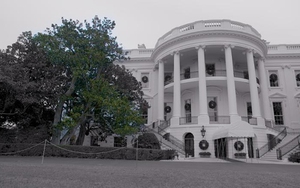 VIDEO: Chặt hạ cây mộc lan 200 tuổi theo 'lệnh' của 'bà chủ' Nhà Trắng