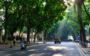 Thời tiết ngày Phụ nữ Việt Nam 20/10: Miền Bắc nắng hanh, miền Trung mưa giảm