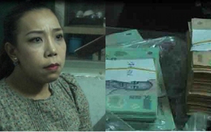 Nữ phóng viên lừa đảo chiếm hàng trăm triệu đồng bị đề nghị truy tố