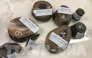 Phát hiện kiện hàng nghi sừng động vật hoang dã vận chuyển qua đường hàng không