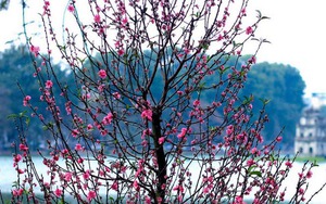 Đêm mùng 5 Tết, Bắc Bộ trời lạnh, có nơi 13 độ C