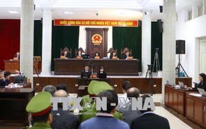 Vụ án tham ô tài sản tại PVP Land: Luật sư phân tích luận cứ gỡ tội cho Trịnh Xuân Thanh