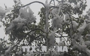 Thời tiết ngày 4/2: Nhiệt độ miền Bắc giảm sâu, vùng núi xuất hiện băng giá dày đặc