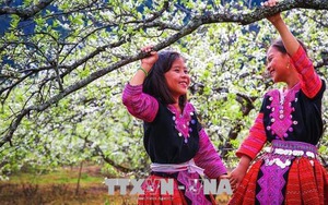 Miền Bắc có thể đón giao thừa trong mưa phùn