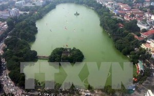 'Chưa có thông tin chính xác về đàn vịt trời ở hồ Gươm'