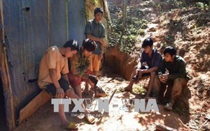 Vụ khai thác vàng trái phép tại huyện Ngọc Hồi: Xử phạt 8 đối tượng hơn 500 triệu đồng