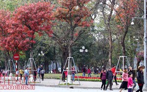 Đêm nay miền Bắc có mưa vài nơi, Nam Bộ mưa dông lớn