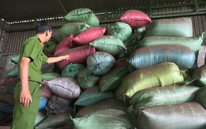 Chưa phát hiện hồ tiêu trộn cà phê nhuộm pin tuồn ra thị trường