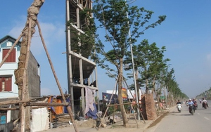 Hà Nội quyết thu hồi nhà, đất 'siêu mỏng, siêu méo' gây phản cảm