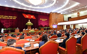 Phát huy trí tuệ đóng góp vào thành công Hội nghị Trung ương 7, khóa XII