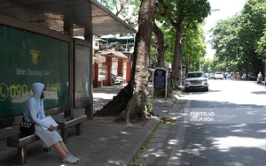 VIDEO: Người Hà Nội quay quắt trong 'chảo lửa' nắng nóng trên 40 độ C