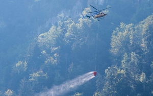 Hàng chục người thiệt mạng trong vụ rơi máy bay tại Thụy Sĩ