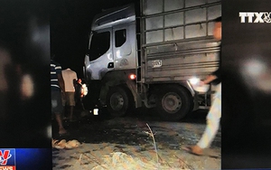 VIDEO: Người dân chặn xe chở dăm gỗ sau tai nạn chết người tại Quảng Ngãi