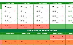 Học sinh TP Hồ Chí Minh được nghỉ Tết Kỷ Hợi 16 ngày