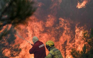 Cháy rừng tại Bồ Đào Nha