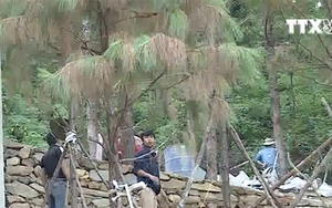 VIDEO: Huyện Sóc Sơn thông tin về biệt phủ trên đất lâm nghiệp